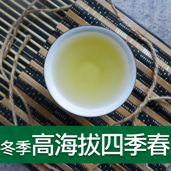 冬季高海拔四季春-599