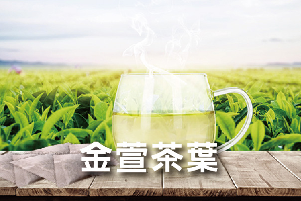 金萱免濾茶包